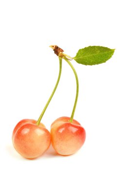 Light red sweet cherry with green leaves., side view isolated on white. Extrem close-up. High resolution photo. Full depth of field.