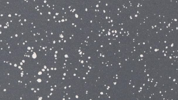 Textura Papel Parede Revestimento Granito Antiaderente Pequenas Manchas Brancas Pretas — Vídeo de Stock