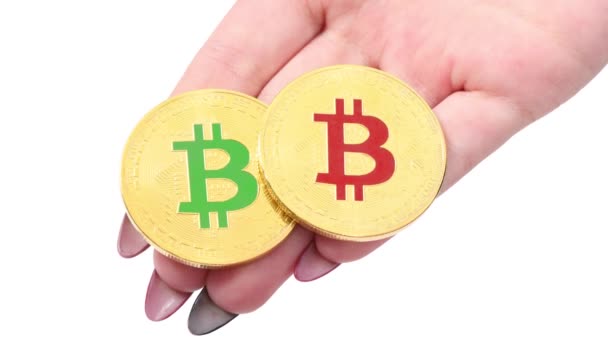 Руки Тримають Показують Два Золотих Криптовалюта Bitcoin Білому Тлі Рух — стокове відео