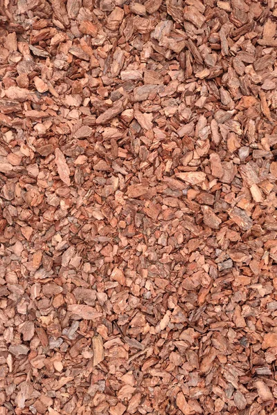 Background texture of natural cortex tree shavings. Wooden pieces on ground.