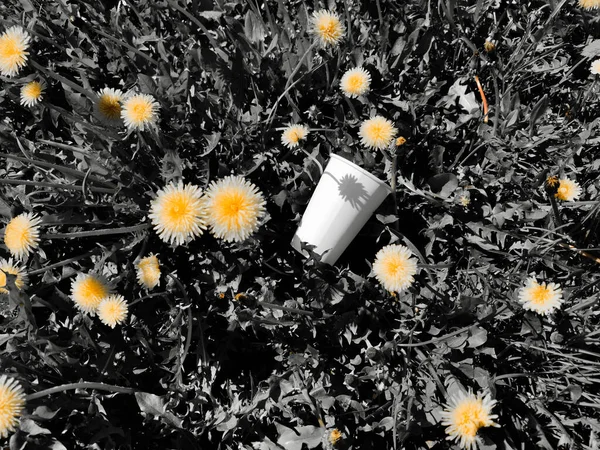 Texture Summer Meadow Dandelion Flowers Garbage Lies Yellow Flowers Environmental Royalty Free Stock Photos