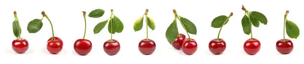 Collection Cherries Green Leaf Isolated White Background Side View Extrem Stok Fotoğraf
