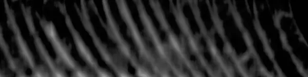 Художественная Бэкворн Грин Фильтр Монохромные Частицы Абстрактны Обоев Маски Копирования Стоковое Фото