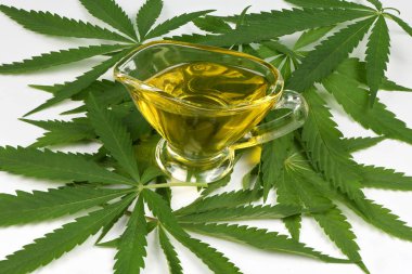 Kenevir yağı ve yapraklı kase, yan görüş. Esrar bitkisi ve kenevir yağı.