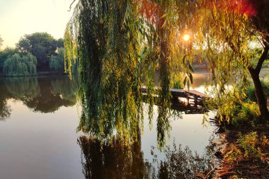 Sabahın erken saatlerinde gölde balık tutmak için harika bir yer. Gölde puslu şafak.