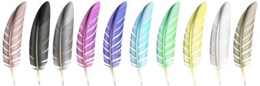 Renkli tüyler, beyaz arka planda izole edilmiş yumuşak kuş tüyleri. Kırmızı, pembe, mavi ve yeşil tüylü hafif tüyler, parlak renkli tüyler. Raster İllüstrasyonu.