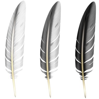 BW tüyleri, beyaz arka planda izole edilmiş yumuşak kuş tüyleri. Siyah, beyaz ve gri tüylü hafif tüyler, parlak renkli tüyler. Raster İllüstrasyonu.