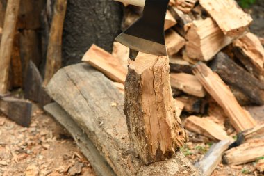 Balta ve kütük. Yüksek çözünürlüklü. Tam alan derinliği.