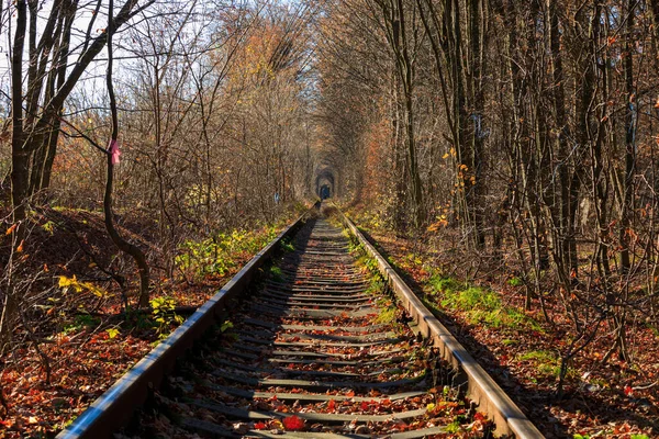 Sonbaharda Aşk Tüneli Sonbahar Ormanında Bir Demiryolu Aşk Tüneli Sonbahar — Stok fotoğraf