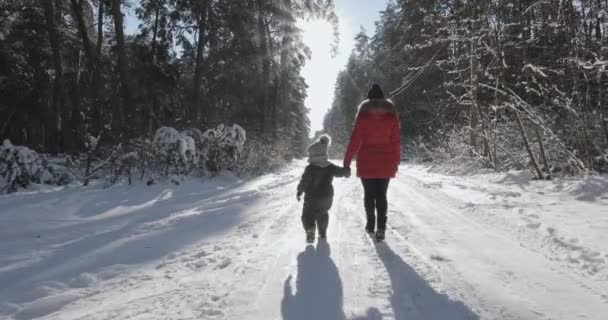 Kinder Die Winter Schnee Spielen Glückliches Kind Das Schnee Spielt — Stockvideo