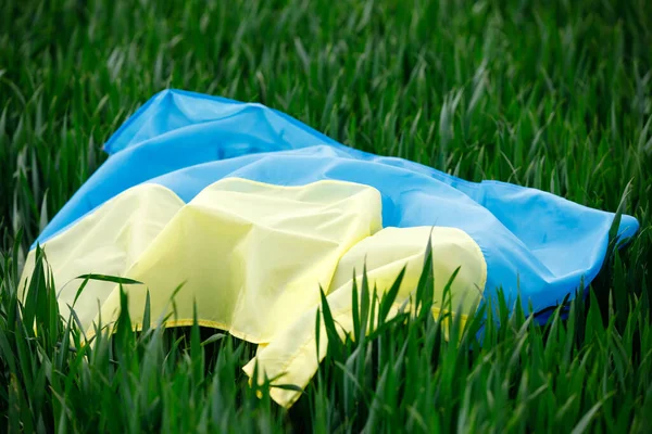 Bandera Ucrania Azul Amarillo Campo Verde — Foto de Stock