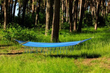 Yeşil ormanda asılı parlak, rahat hamak, yakın çekim.