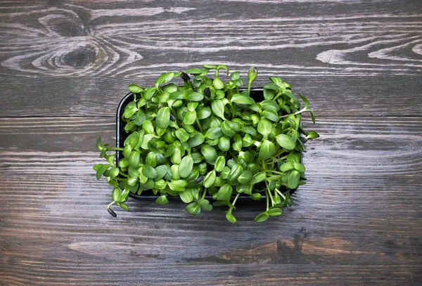 Micro Verts Frais Dans Une Boîte Plastique Sur Fond Bois — Photo