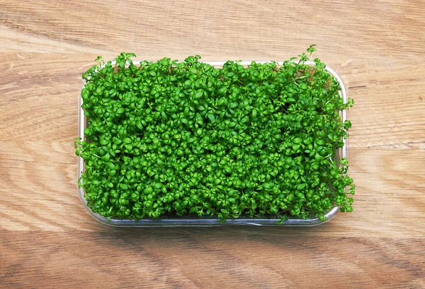 Verse Micro Greens Een Plastic Doos Houten Ondergrond — Stockfoto