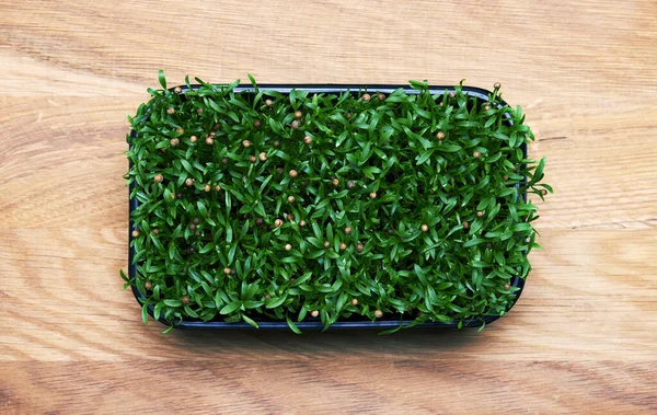 Tahta Arka Planda Plastik Bir Kutuda Taze Mikro Yeşiller — Stok fotoğraf