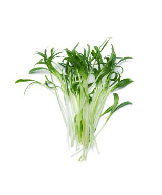 Beyaz arkaplanda izole edilmiş taze mikro yeşiller