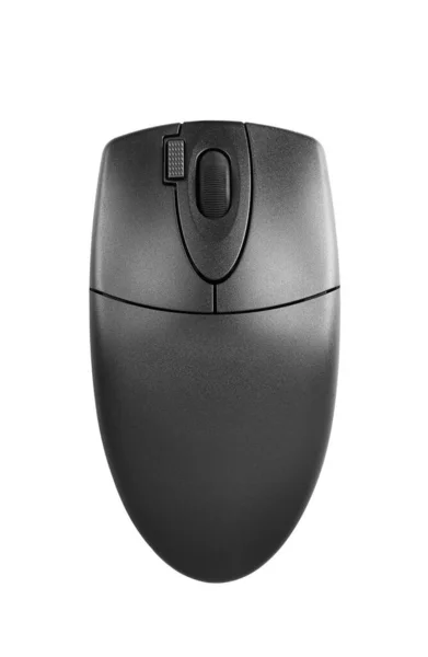 Computer Mouse Isolated White Background — Stock Photo, Image