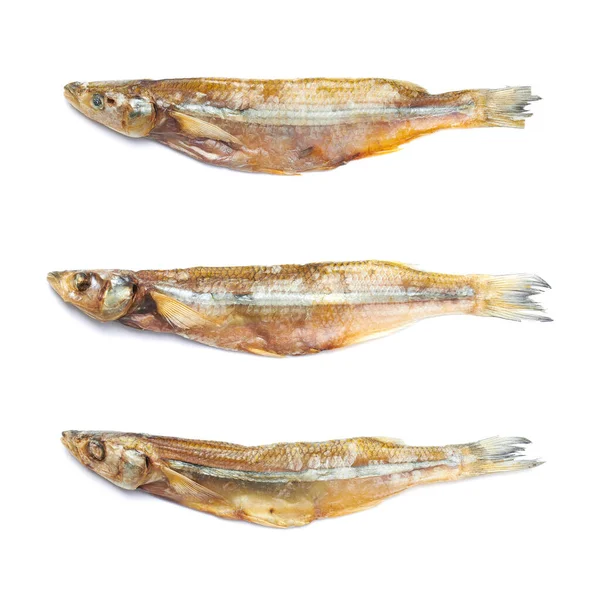 Dried Smelt Fish Isolated White Background — Stock Photo, Image