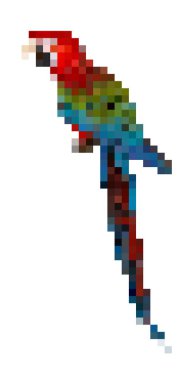 Renkli papağan. Vektör çokgen çizimi