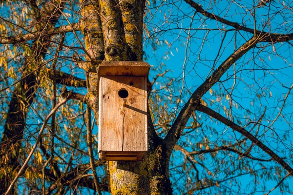 Ručně Vyrobená Dřevěná Krabice Pro Špačky Stromě Během Podzimní Sezóny — Stock fotografie