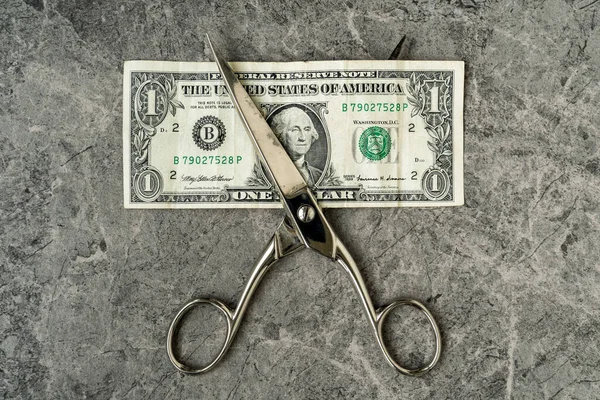 一块钱的钞票是用剪刀剪成的 危机期间减少收入的概念 — 图库照片