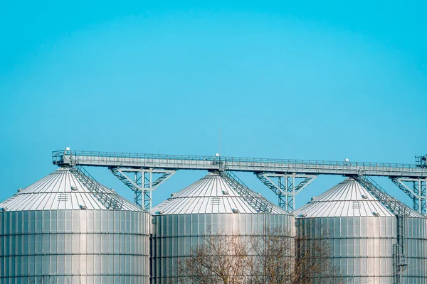 Snowy Silos Winter Industrial Elevator Dryers Building Exterior Storage Drying — Stock Photo, Image