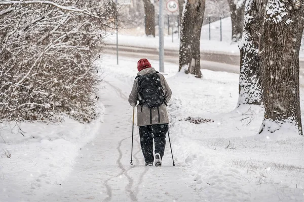 stock image An elderly woman with canes in her hands walks along a snow-covered path. An elderly woman trains Nordic walking with sticks. Back view, unrecognizable person.