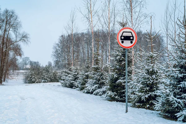 Żadnych Samochodów Zimowej Drodze Lasu — Zdjęcie stockowe