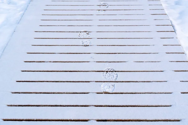 Отпечатки Сапог Оставленные Снегу Деревянной Дорожке Зимняя Ходьба — стоковое фото