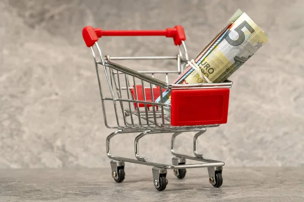Shopping Costs Money Euro Notes Shopping Cart — Stock Photo, Image