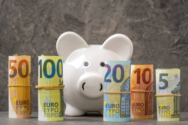 Porquinho Olhar Através Uma Fila Notas Euro Enroladas Conceito Preservar — Fotografia de Stock