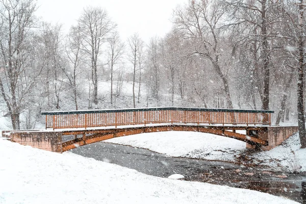Winter scene - small bridge over a river in winter snowy park
