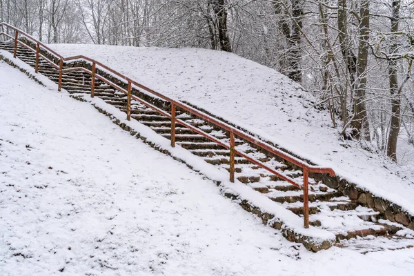 Scale Che Estendono Fino Una Collina Con Alberi Ricoperti Neve — Foto Stock