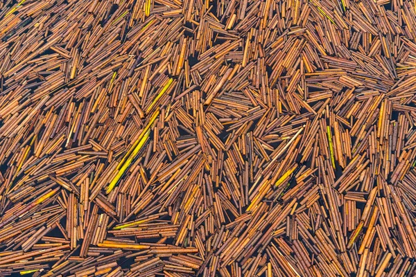 Natural Pattern Reed Straws Floating Surface Water Lake — Stock Photo, Image