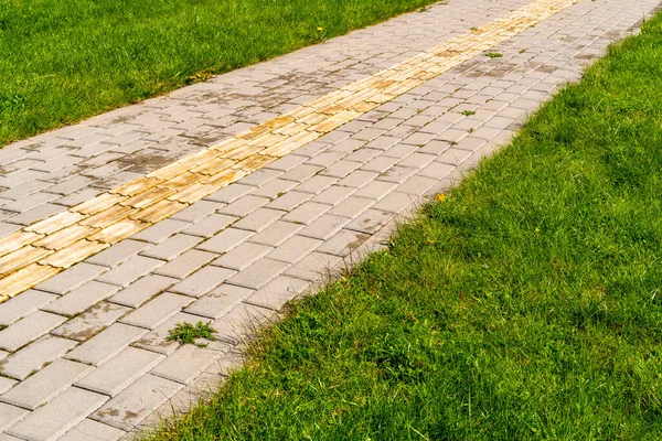 Tactile Paving Pedestrian Walkway Green Grass Both Sides Tactile Ground — Stock Photo, Image