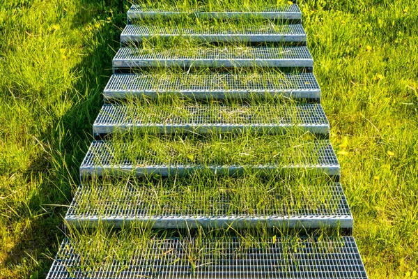 Zielona Trawa Rośnie Metalowych Schodach Zdjęcie Schodów Metalowymi Schodami Zielonej — Zdjęcie stockowe