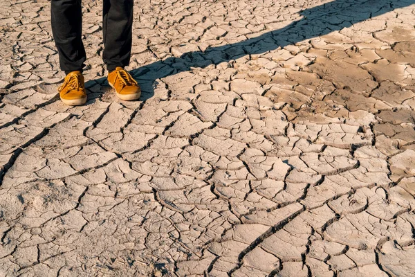 Human legs in sneakers and jeans standing on dried cracked earth. Drought and salinization. Soil salinity. Cracked ground. Ecological disaster.