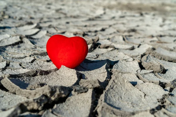 红红的心在干枯的土地上 分手的概念 爱情的终结 — 图库照片