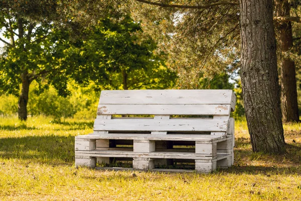 Relax Area Park Ecological Bench Made Industrial Pallets Painted White — Stock Photo, Image