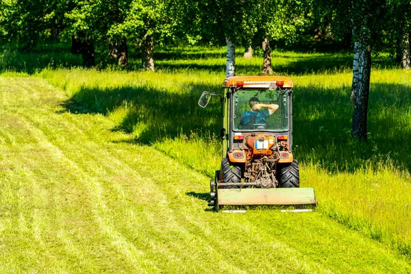 夏の都市公園でトラクター芝刈り バックビュー — ストック写真