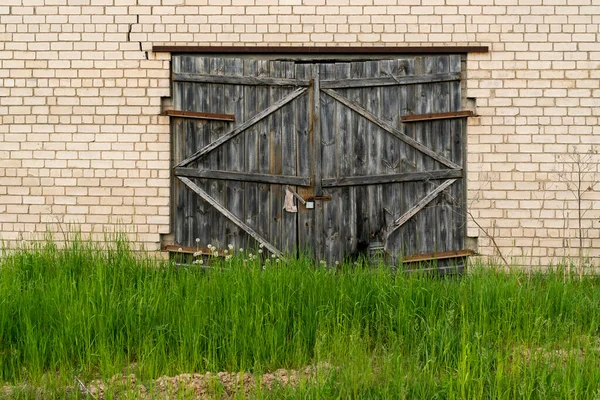 Старая Выветриваемая Деревянная Дверь Гаража Большой Травой Растущей Спереди — стоковое фото