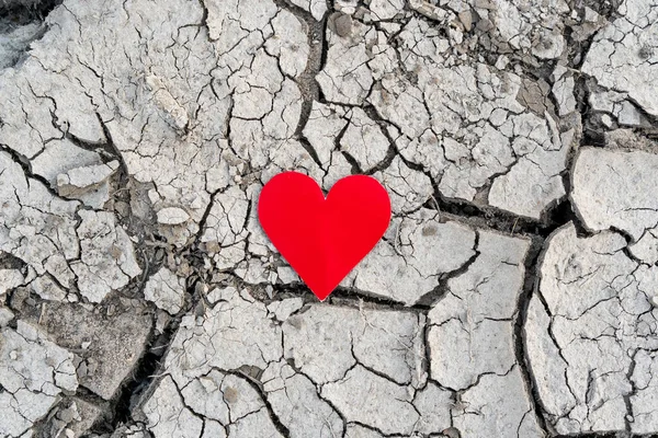 在有干裂的土地上的一颗小小的红纸的心 保护世界免受全球变暖的概念 — 图库照片