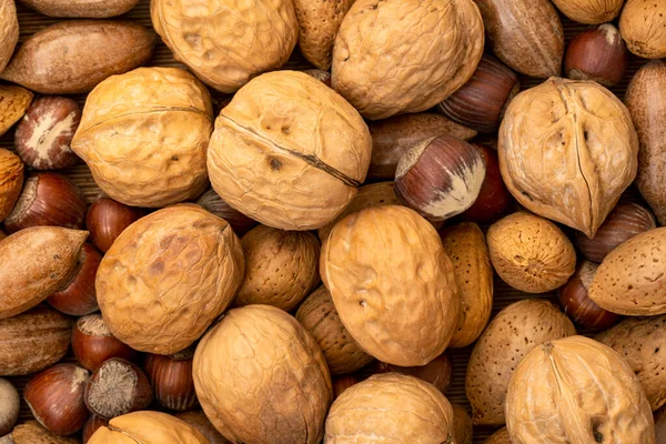 Sortiment Ořechů Skořápkách Výběr Různých Typů Matic — Stock fotografie
