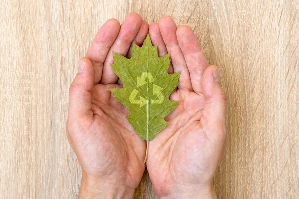 Hands Holding Dry Leaf Circular System Symbol Recycling Sync Sustainability — Stock Photo, Image