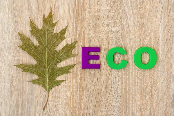 Droge Blad Belettering Eco Houten Ondergrond Bedrijfs Ecologische Groene Energieconcept — Stockfoto