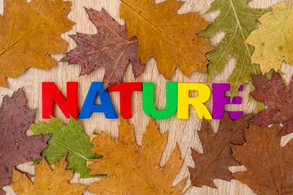 Słowo Nature Jest Napisane Drewnianym Tle Suchymi Liśćmi — Zdjęcie stockowe