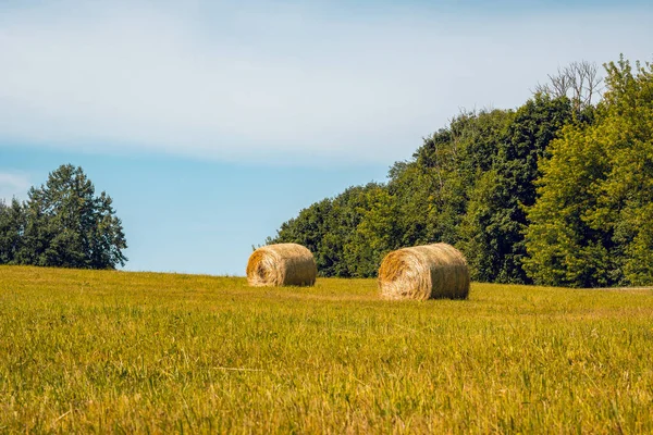 Couple Hay Bales Countryside Sunny Summer Day — Stock Photo, Image