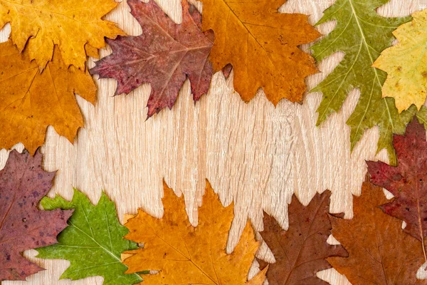 Zusammensetzung Von Herbstblättern Mit Holzhintergrund Kopierraum — Stockfoto