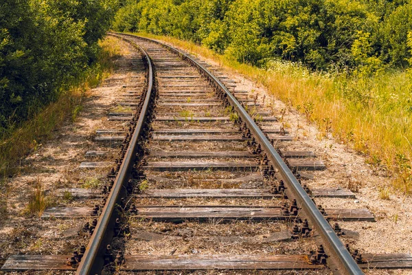 Alte Eisenbahnkurven Durch Den Stillen Wald Kurvenreicher Weg Eisenbahninfrastruktur — Stockfoto