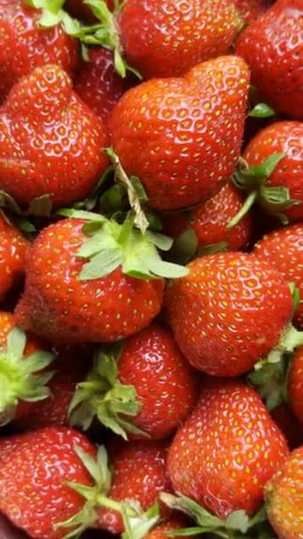 Fresas Rojas Frescas Comida Vegana Saludable Primer Plano Vertical Cámara — Vídeos de Stock
